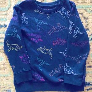 Size 5t boys dinosaur sweatshirt